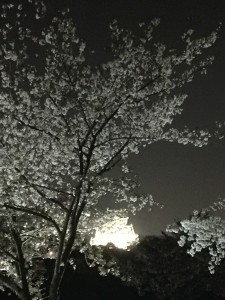 20160409-fb1